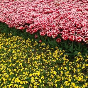 Meet your Posher, Catherine